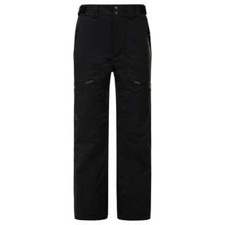 THE NORTH FACE  M CHAKAL PANT-XL 