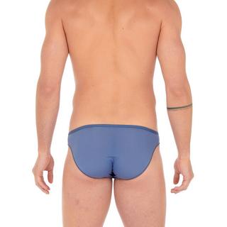 HOM  Plumes Micro Brief 