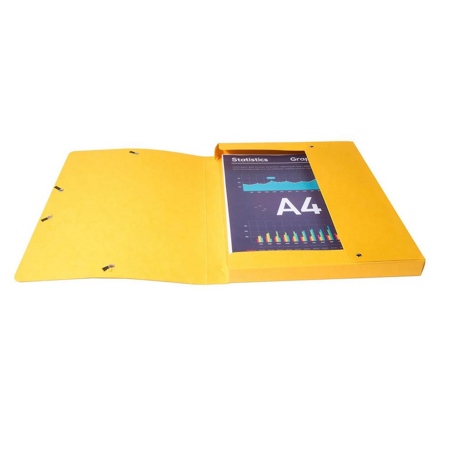 Exacompta Archivbox aus Colorspan-Karton 600g, Rückenbreite 25mm mit Etikett, 25x33cm für DIN A4 - x 8  