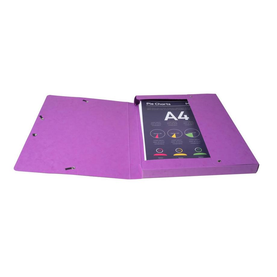 Exacompta Archivbox aus Colorspan-Karton 600g, Rückenbreite 25mm mit Etikett, 25x33cm für DIN A4 - x 8  