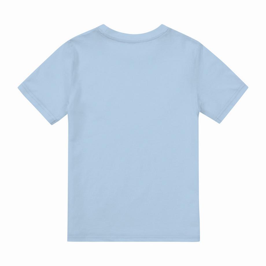 The Lion King  TShirt 