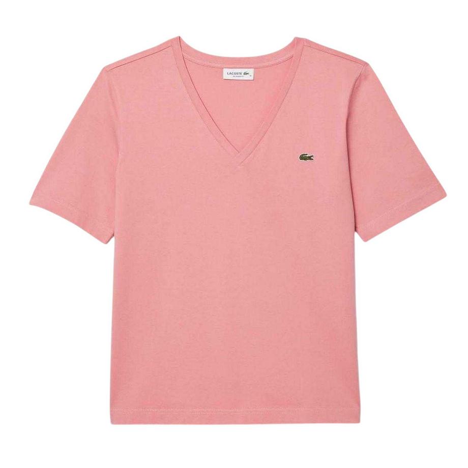 Maglietta Logo Ricamato Cotone Jersey