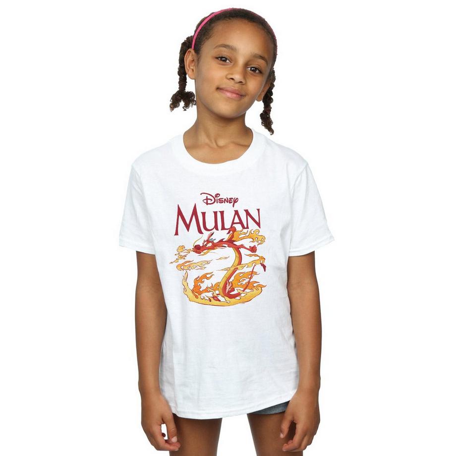 Disney  Dragon Fire TShirt 
