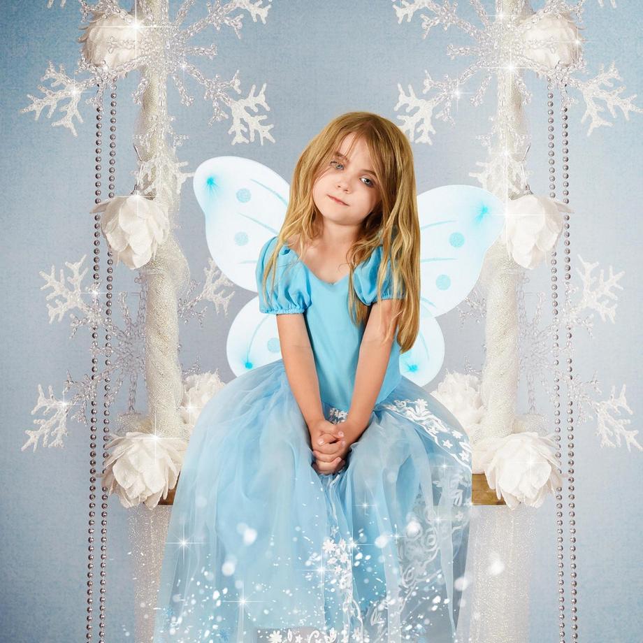 B2X  Feenflügel mit Zauberstab 