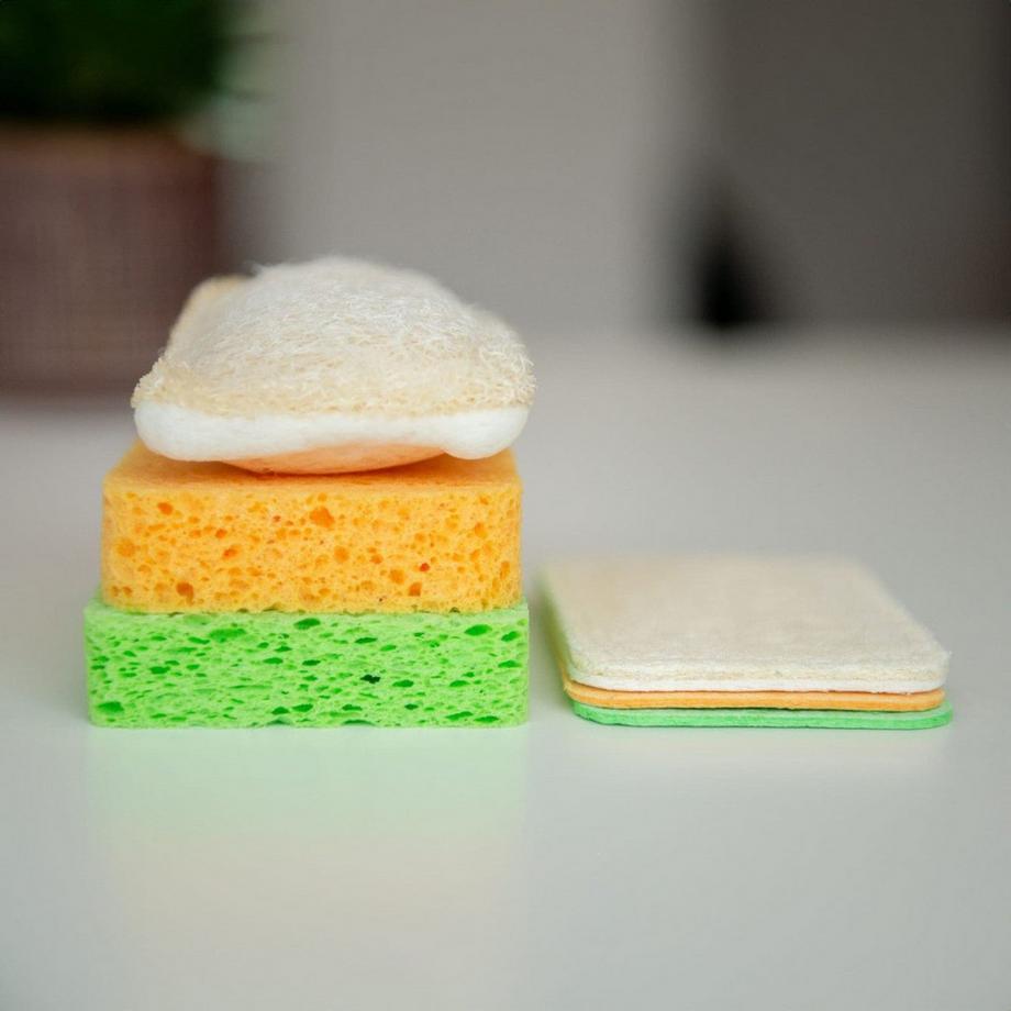 Washo  Popup Schwämme 