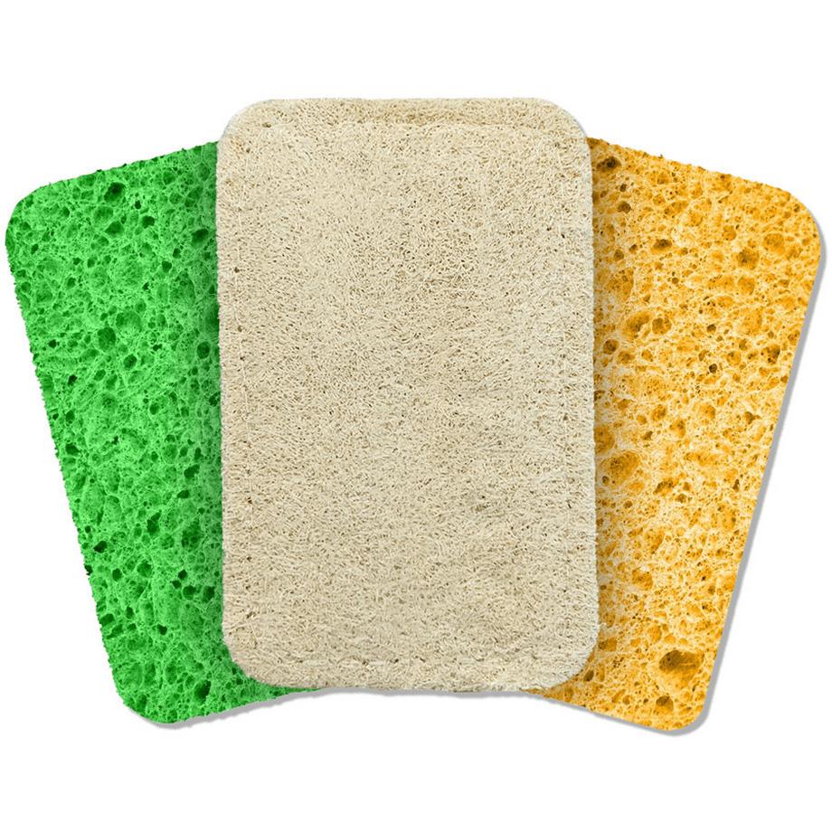 Washo  Popup Schwämme 