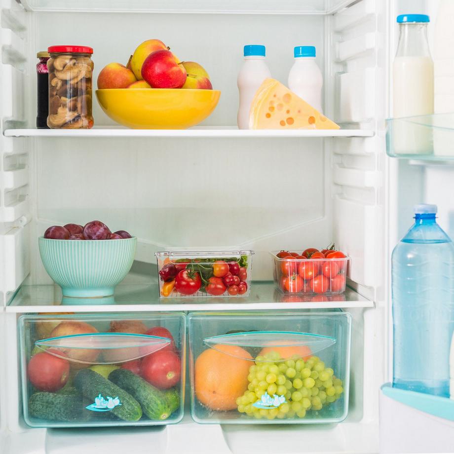 B2X Set di 3 contenitori per frigorifero  