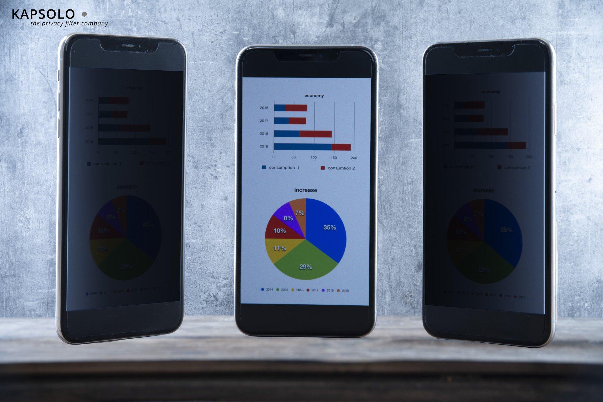 KAPSOLO  4-wege Blickschutzfilter KAP12344 Apple iPhone 