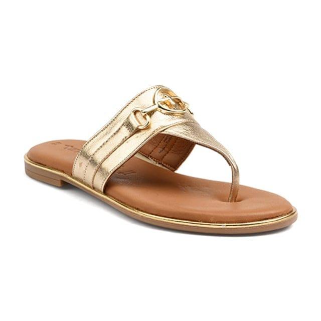 Image of Kim Damen Gold 37