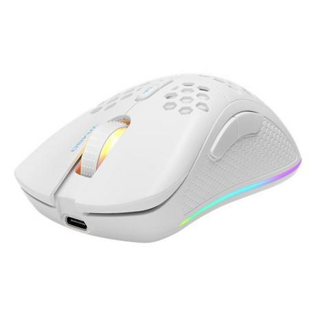 DELTACO  Deltaco GAM-120-W souris Droitier RF Wireless + USB Type-C Laser 6400 DPI 