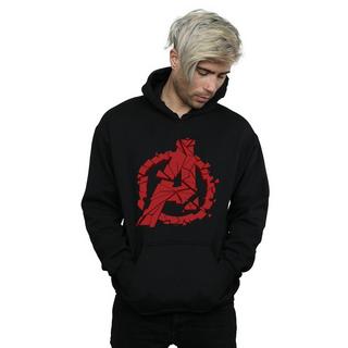 MARVEL  Sweat à capuche AVENGERS ENDGAMEED 