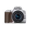 Canon  Canon EOS 250D Kit (18-55 STM) Silber 