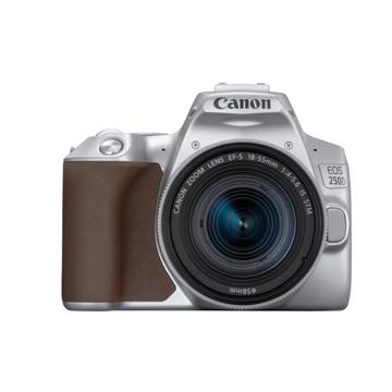 Canon EOS 250D Kit (18-55 STM) Silber