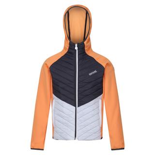 Regatta  Veste matelassée KIELDER HYBRID Enfant 