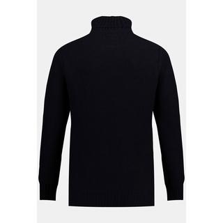 JP1880  Rollkragen-Pullover, Strukturstrick 