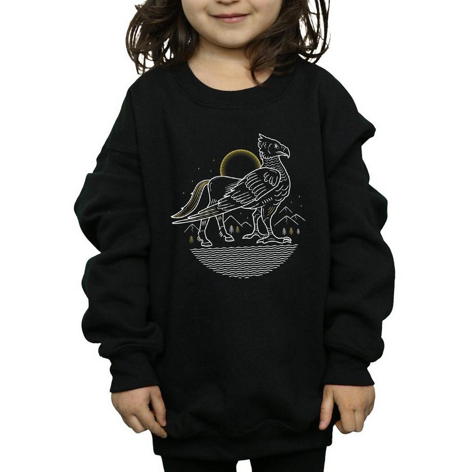 HARRY-POTTER  Sweat 