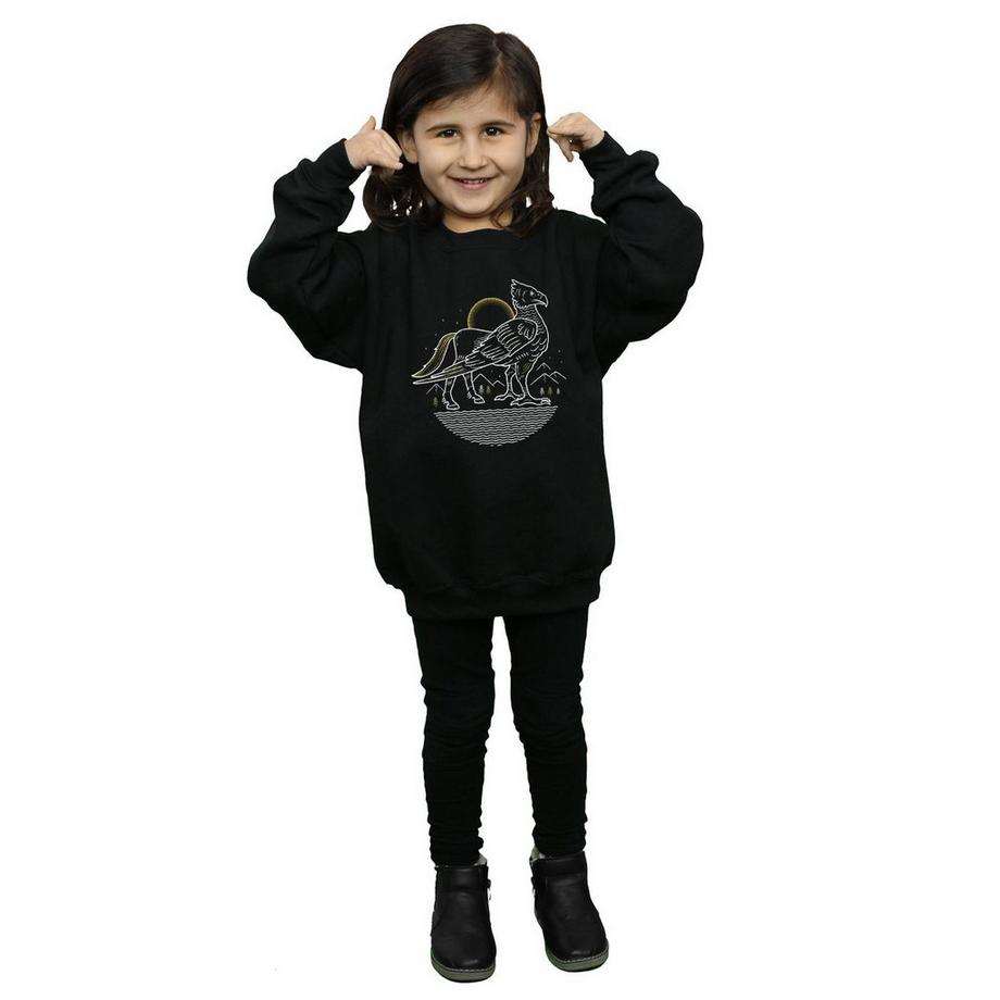 HARRY-POTTER  Sweat 