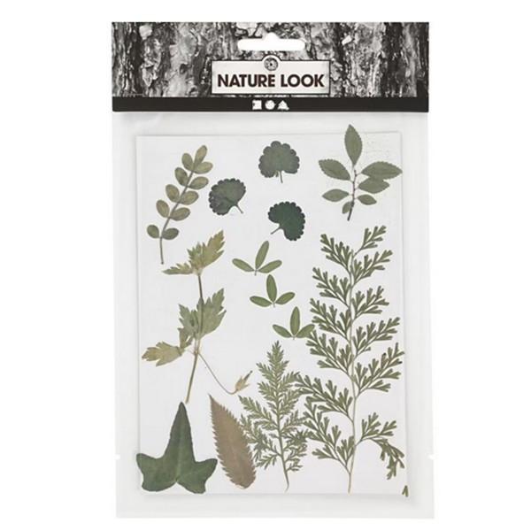 Image of 504476 Dekorativer Aufkleber Grün Grün