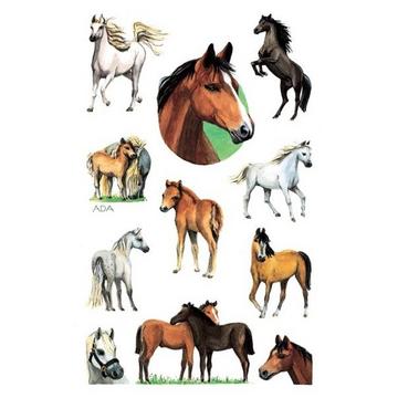 Z-DESIGN Sticker Kids 53483 Bauernhoftiere 2 Stück