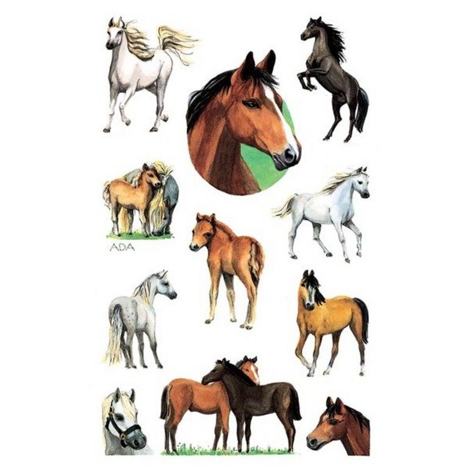 Z-DESIGN Sticker Kids 53483 Bauernhoftiere 2 Stück