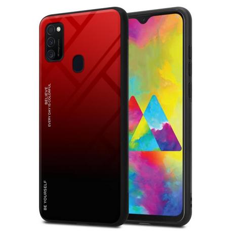 Cadorabo  Housse compatible avec Samsung Galaxy M21 / M30s - Coque de protection bicolore en silicone TPU et dos en verre trempé 