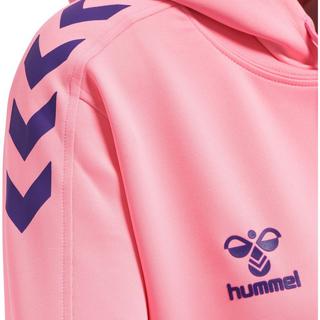 Hummel  sweatshirt à capuche hmlhmlcore xk 