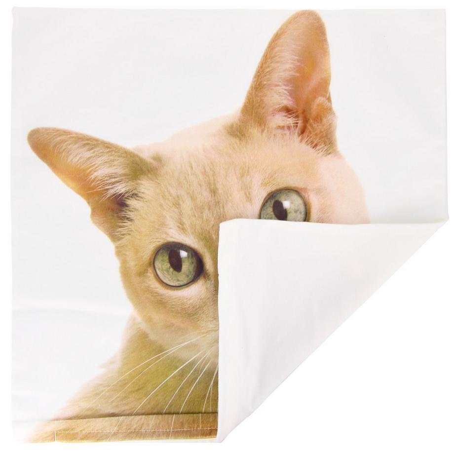 Avizar 2 Stk. Kissenbezüge Katze  