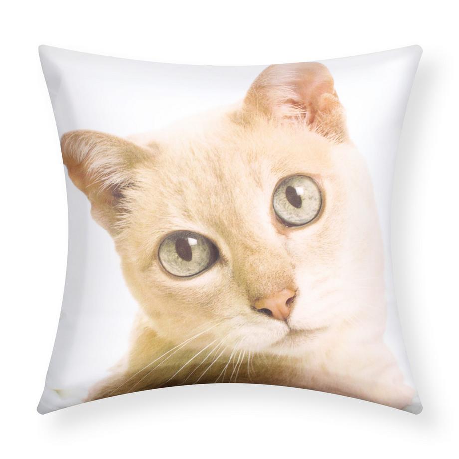 2 Stk. Kissenbezüge Katze