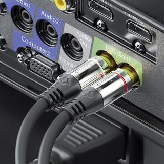 sonero  sonero S-AC710-100 Audio-Kabel 10 m 2 x RCA Schwarz 