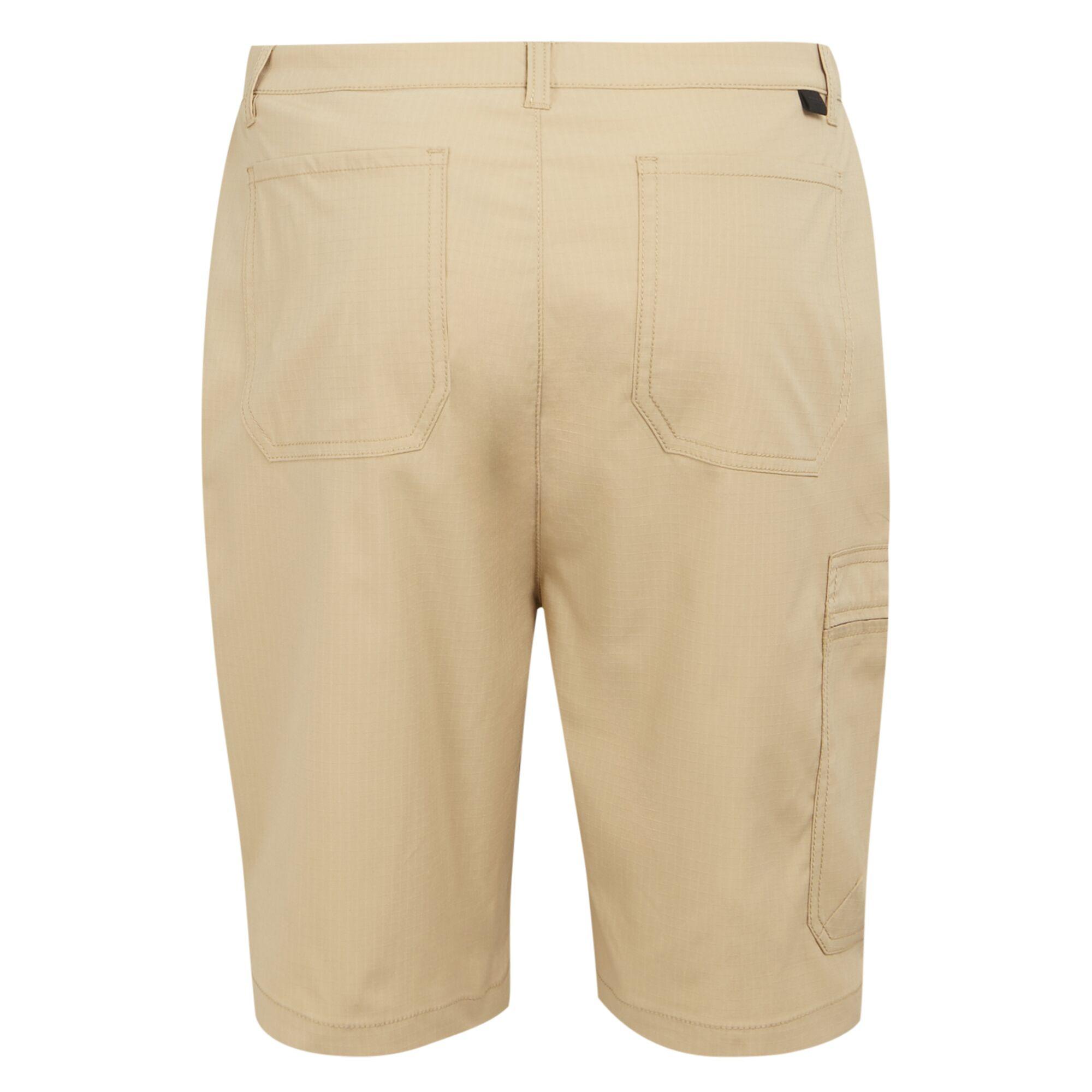 Regatta Dalry Shorts  