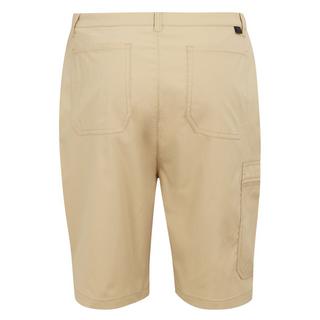 Regatta Dalry Shorts  