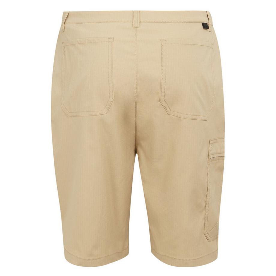 Regatta Dalry Ripstop Shorts  