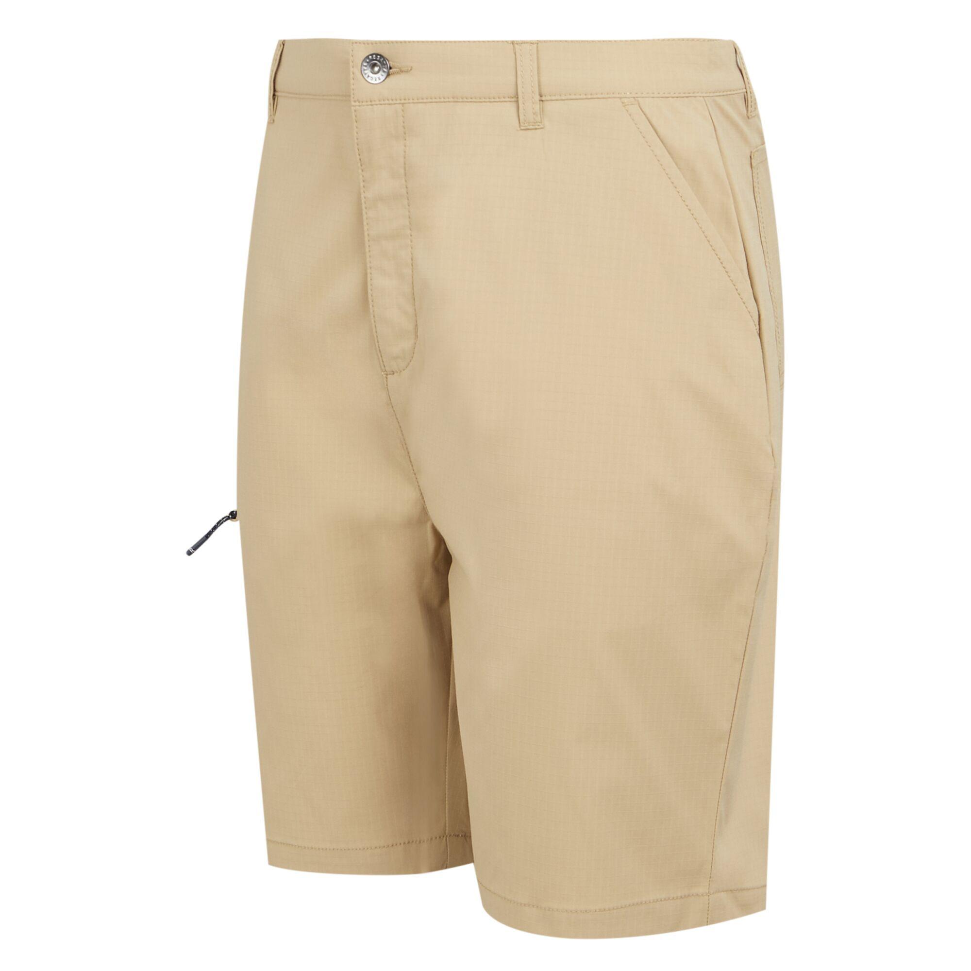 Regatta Dalry Shorts  