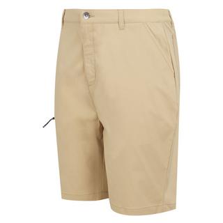 Regatta Dalry Shorts  