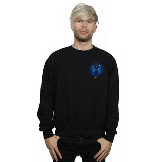 Disney  Sweatshirt 