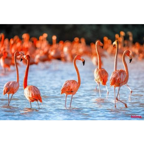 Kolma KOLMA Schreibunterlage 35.556.20 Flamingos 50x34cm  