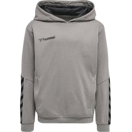 Hummel  sweatshirt à capuche enfant hmlauthentic poly 