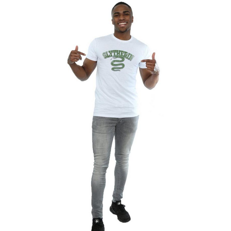 Harry Potter T-shirt Slytherin  