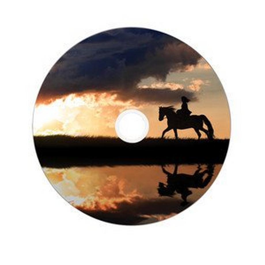 Verbatim  Verbatim 43703 DVD-Rohling 8,5 GB DVD-R 50 Stück(e) 