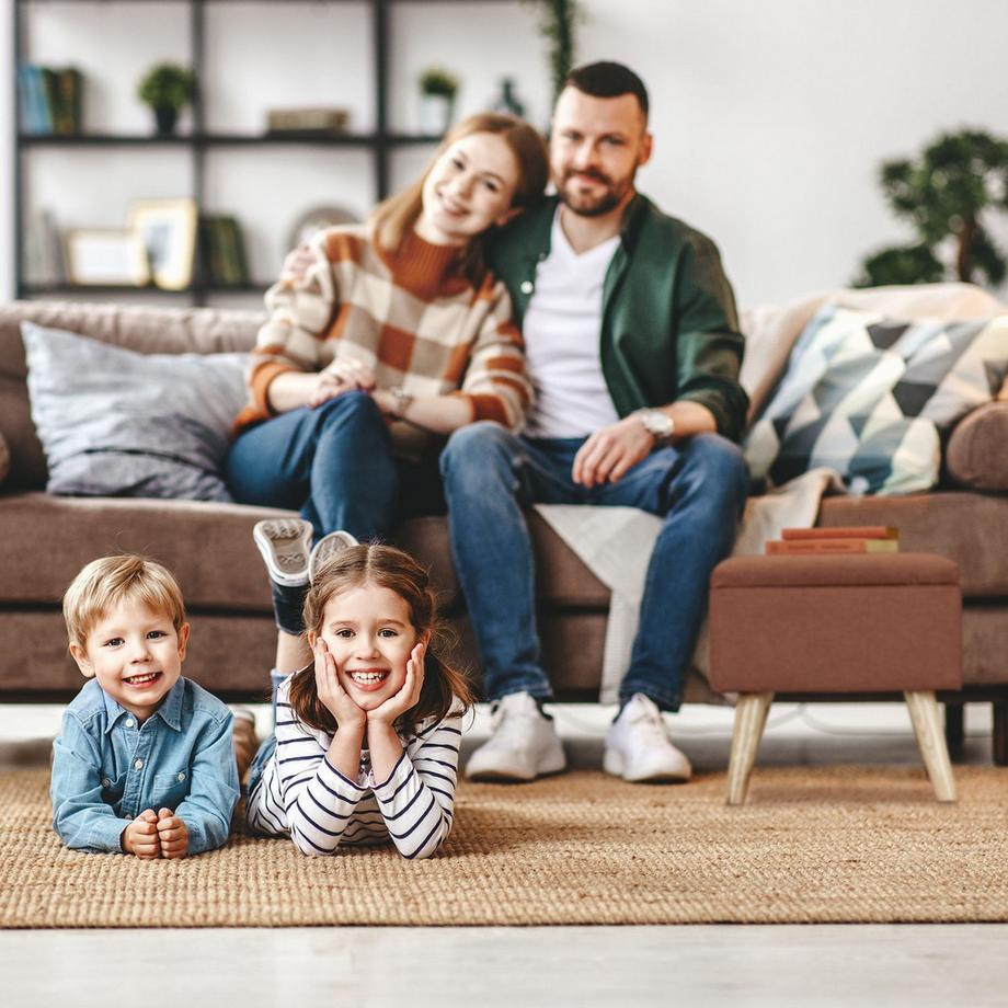 B2X  Tapis rafraîchissant pour chiens 