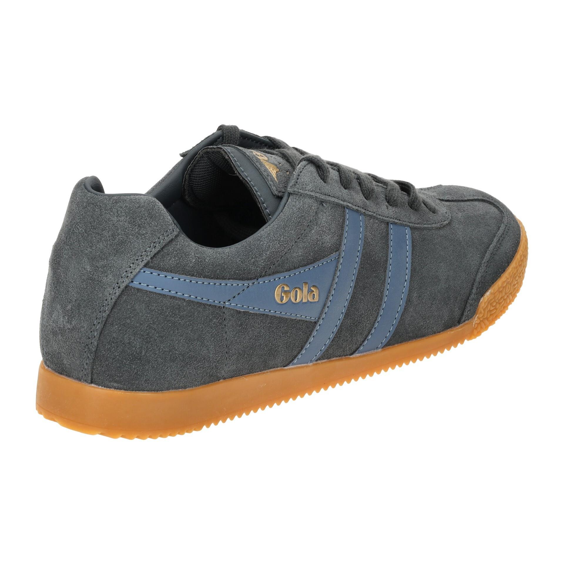 gola  Scarpe da ginnastica in pelle scamosciata  Harrier 