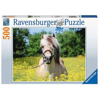 Ravensburger  Ravensburger puzzle Cheval blanc 500 pièces 