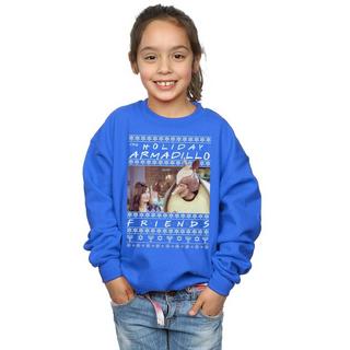 Friends  Holiday Armadillo Sweatshirt 