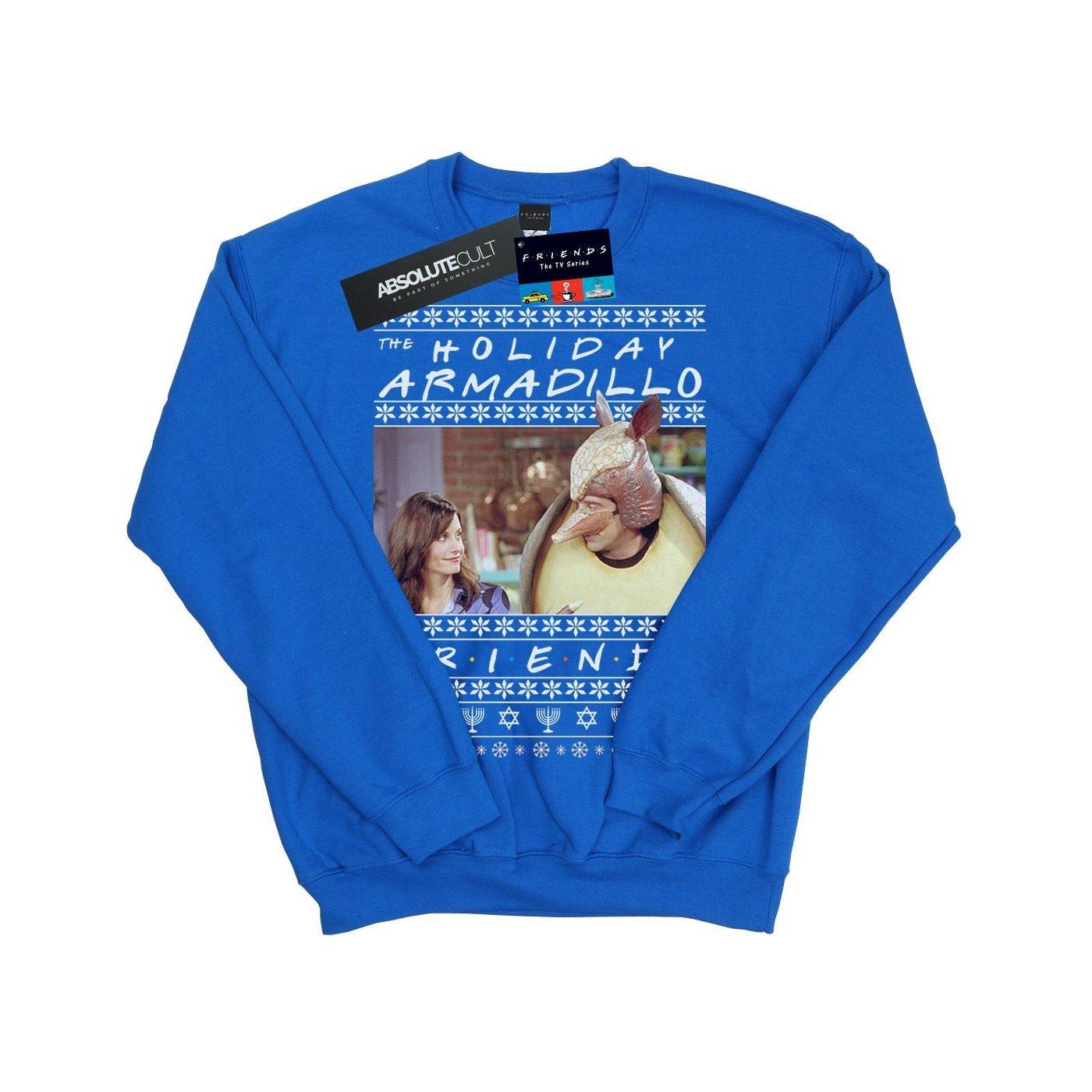 Friends  Holiday Armadillo Sweatshirt 