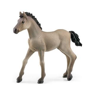 Schleich  Horse Club Criollo Definitivo Fohlen 