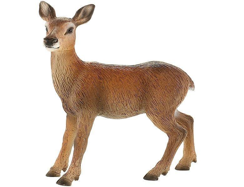 Image of Animal World Hirschkuh