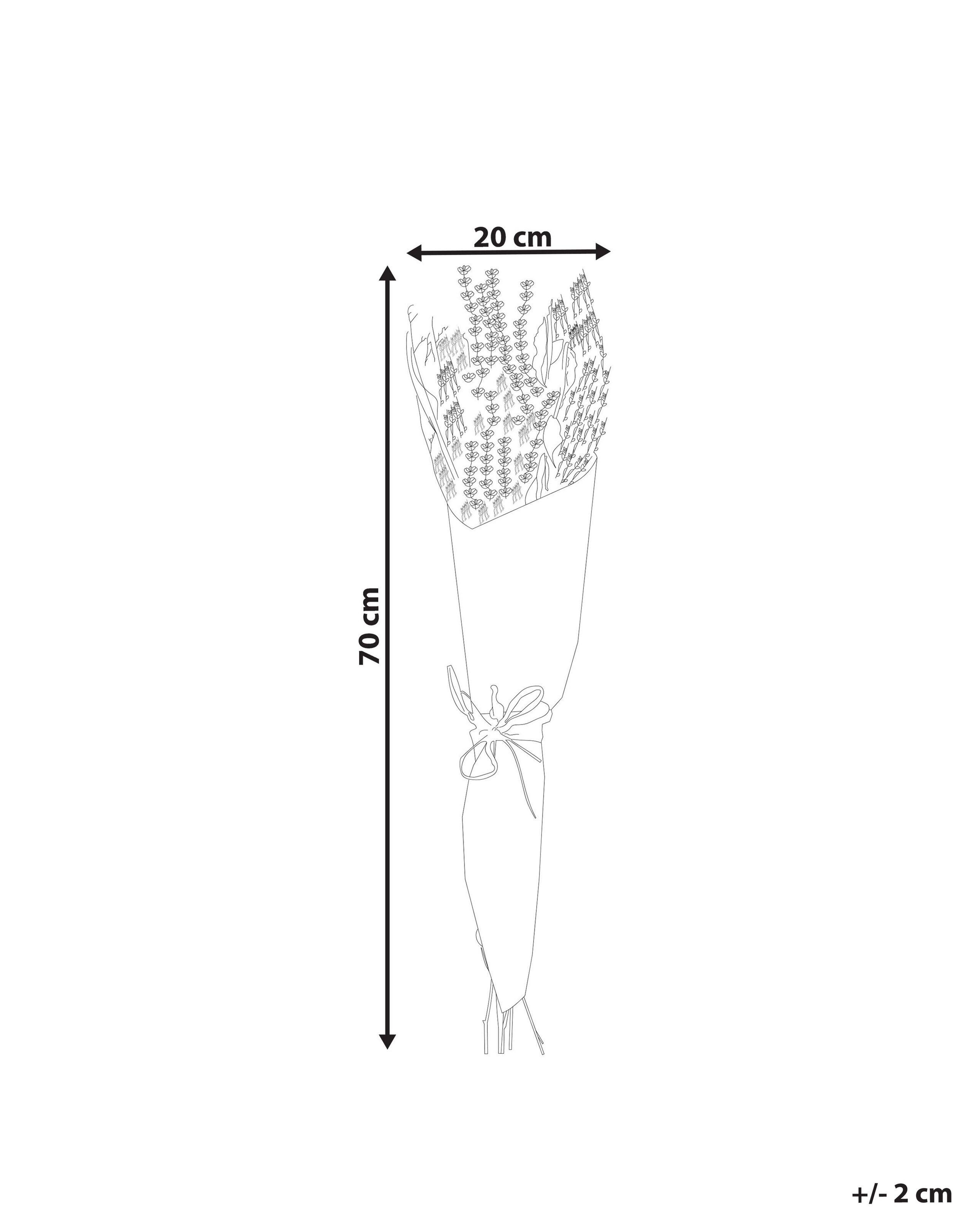 Beliani  Trockenblumenstrauss aus Trockenblumen Boho NAWARRA 