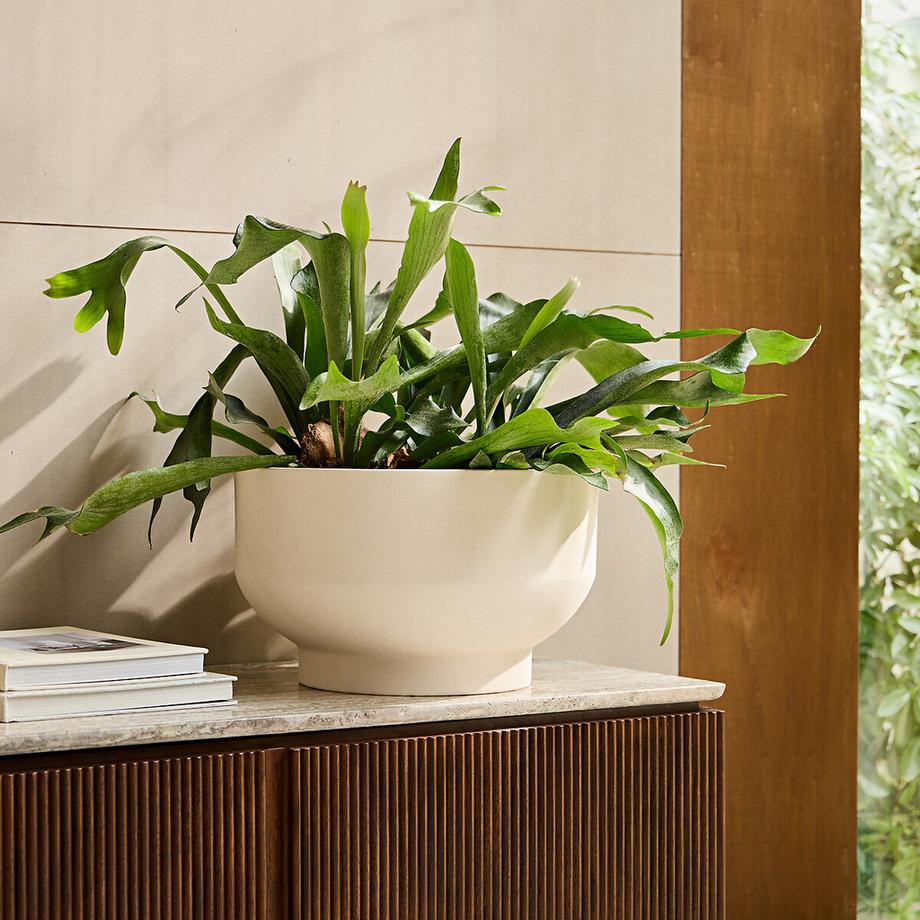 AM.PM Übertopf Florian  