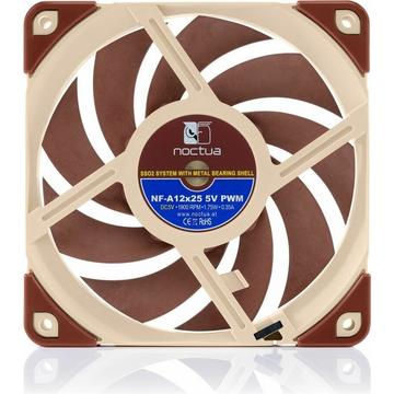 Noctua