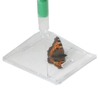 Katcha Insektenfänger  